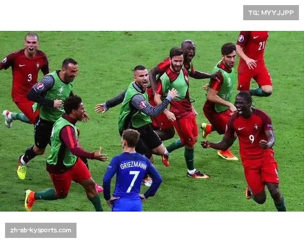 法国历史上曾获得欧洲杯冠军并回顾上一届欧洲杯的战绩表现